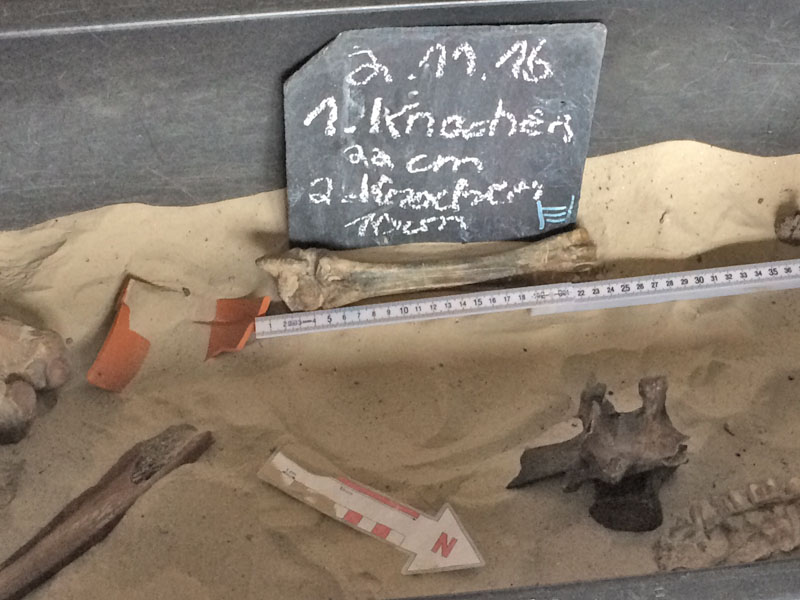 Archäologenausbildung